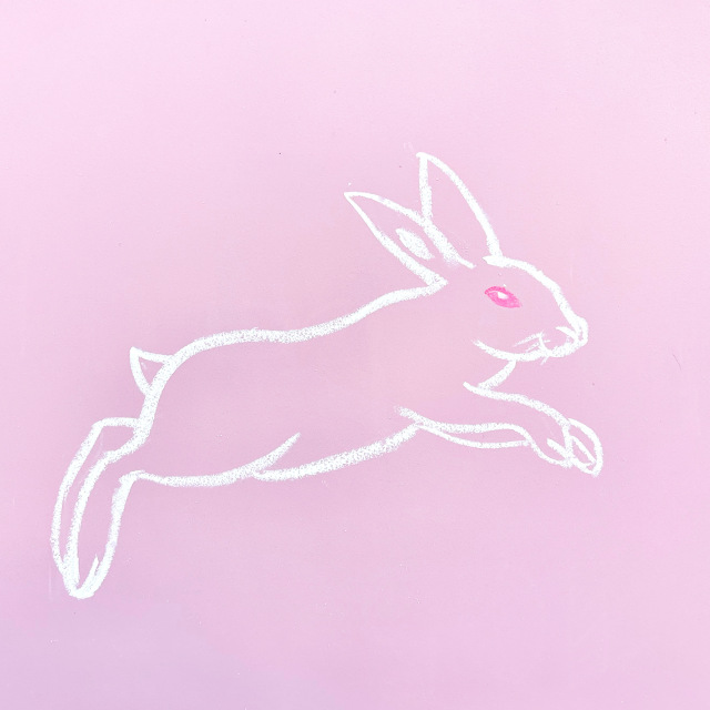 rabbit